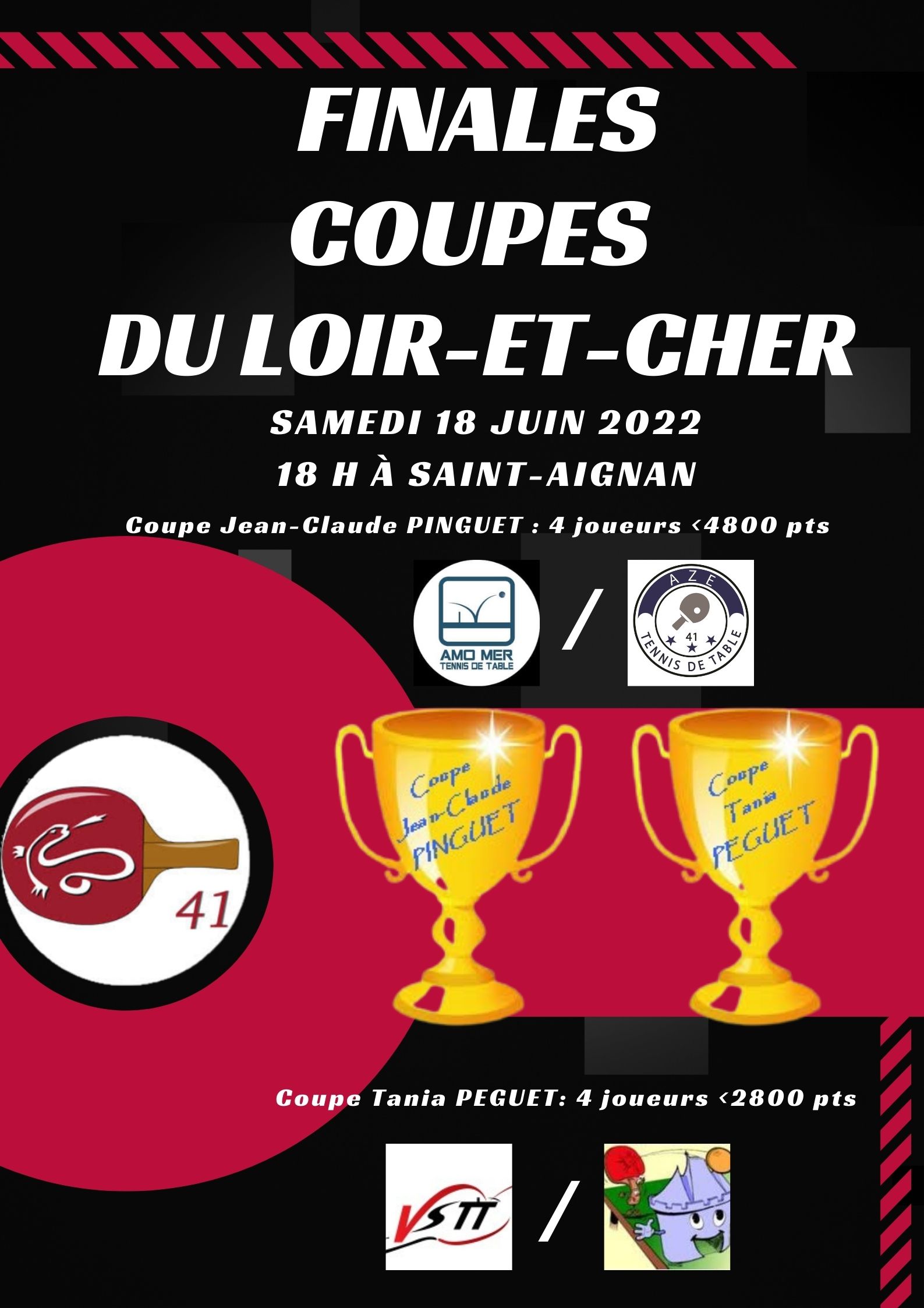 Finales-COUPES DU LOIR-ET-CHER